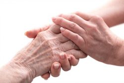 Palliative care is one of the benefits of the LIFE program.