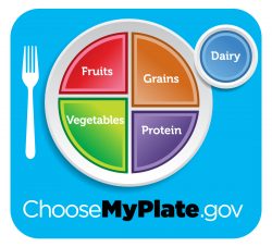Follow the MyPlate guidelines for optimal senior health.